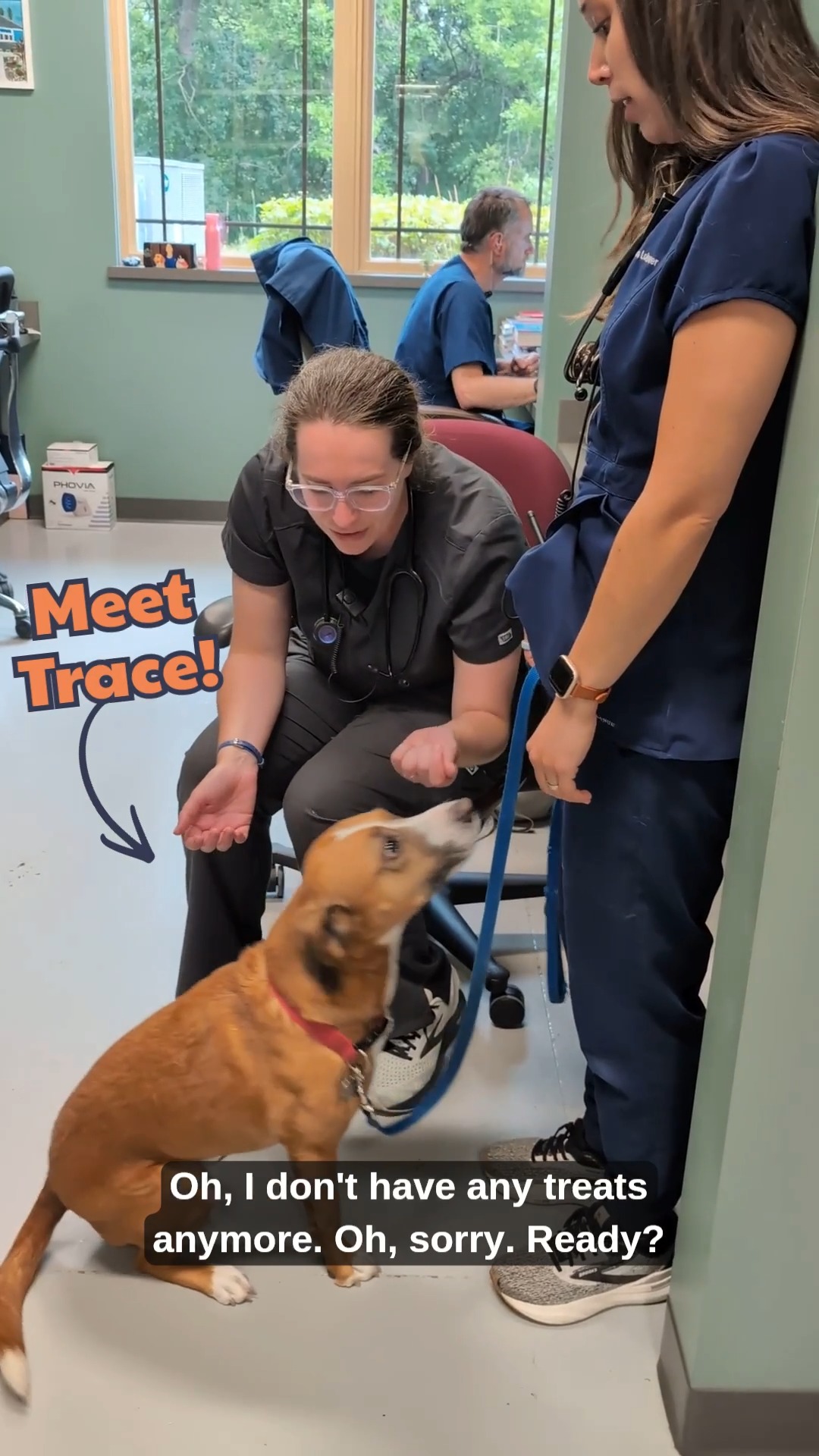 High fives hit different with Trace! ✋🐾💙
There’s something pretty special about watching a pet adapt and continue to embrace life in their own way.
Trace may have three legs, but that certainly hasn’t taken away his personality or his ability to make our team smile. During his visit, he proudly showed Dr. Lohmer and Dr. Crumb that he can still give a pretty great high five. 🥹
For pets who have lost a limb, adjusting can take time, patience, and plenty of support. Many three-legged pets learn to navigate life remarkably well, and moments like this remind us to celebrate every pet for exactly who they are and what they can do.
Way to go, Trace. We’ll take a high five from you anytime. ❤️
💬 Do you have a pet who has adapted to life a little differently? We’d love to hear their story! Tag us in a photo and share their story in the comments!
#WhiteBearAnimalHospital #Trace #WhiteBearLakePets #WhiteBearLakeMN #MNPets #TwinCitiesPets #LocallyOwnedVet #IndependentVeterinarian #WhiteBearPets